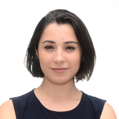 Firoozeh Gerayeldi Headshot